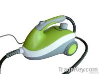 Multi-fuction Steam cleaner