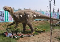 Simulation dinosaur & animal