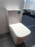 Wholesale Chaozhou Factory Ceramic Sanitaryware Two Piece Toilet 