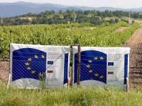 Cherry Ziraat 900(Napoleon)