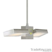 Ibiss LED Double Flood Head