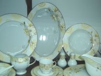 Porcelain Dinner Set