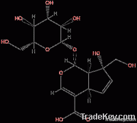 Monotropein