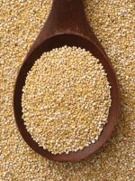 Organic Quinoa Seed