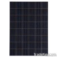Poly Solar Panel 175w