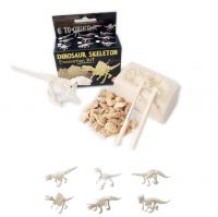 Sml. Dinosaur Skeleton Excavation Kit Toys