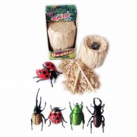 Plastic Bettle Excavation Kit/Dig It