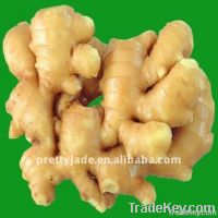 Chinese fresh ginger