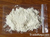 dried white onion powder