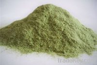 white green onion powder