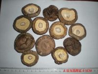 Dried Mushroom