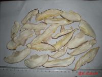 Sliced Mushroom
