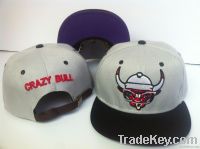 Free Shipping Wholesale 2013 New Arrival Snapback Baseball Cap Hat