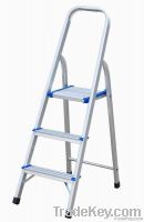 Aluminum ladder