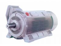 Cast Iron Housing Three Phase Induction Motor