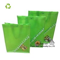 Fahion Eco PP Non woven shopping bag