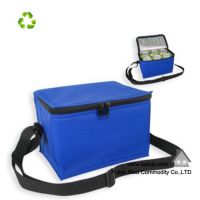 Out Door Insulated Disposable Nonwoven Cooler Bag