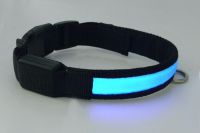 Nylon light Dog Collar