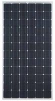 solar module