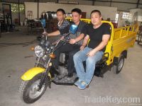 Cargo Three Wheeler