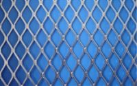 stainless plate mesh