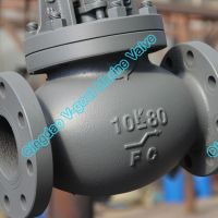 Marine JIS Standard Cast Iron Valve