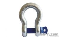 Screw Pin Anchor Shackle (T8)