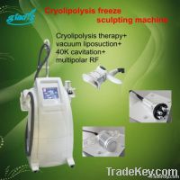 Cryolipolysis Freeze Vacuum Cavitation Rf Fat Burning Slimming Machine