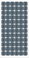 PV Solar Panel /  Module - 190M