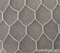 Hexagonal wire mesh