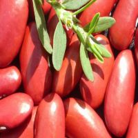 Red Kidney Beans