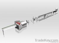 Plastic Pipe &amp; Profile Production Line