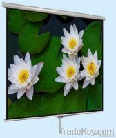 Manual Projection Screen