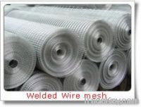 welded wire mesh