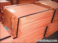 Copper Cathode (Pure Copper Wire Millberry