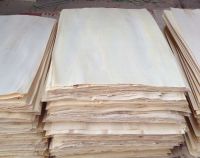 Rotary Peeled Poplar Veneer