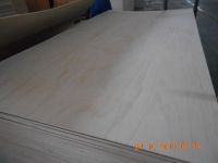 Pine Plywood best quality by prime fortune