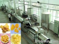 Automatic Potato Chips Production Line