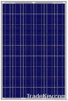 Solar PV Module