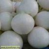 Onion (White)