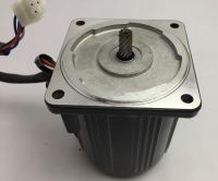 40W ac micro gear motor 