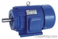 Y Series Three-Phase Asynchronous Induction Motor
