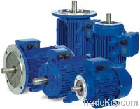 MS Series 3 Phase Electric Motor