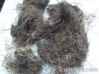 Zi Wan/ Aster Tataricus Root/ Tatarian Aster Root/ Radix Asteris