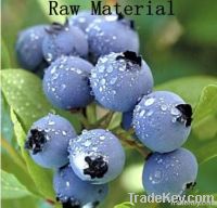 Bilberry Extract, Anthocyanidins 10%, 25%