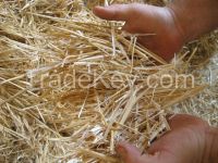 WHEAT STRAW