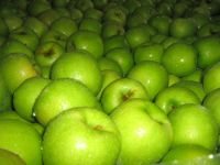 Apples - Golden Delicious, Granny Smith, etc.