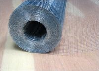 Galvanized Welded Wire Mesh (factory)