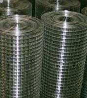 Electro Galvanized Welded Wire Mesh