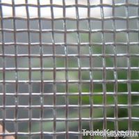 Galvanized Square Wire Mesh